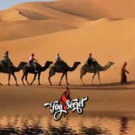 Desert Ship Desert Ship